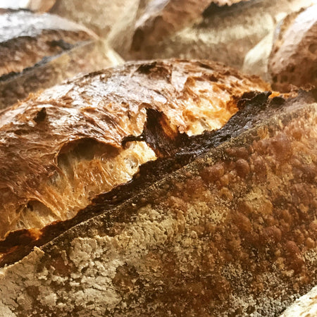 Country sourdough bread, campagne